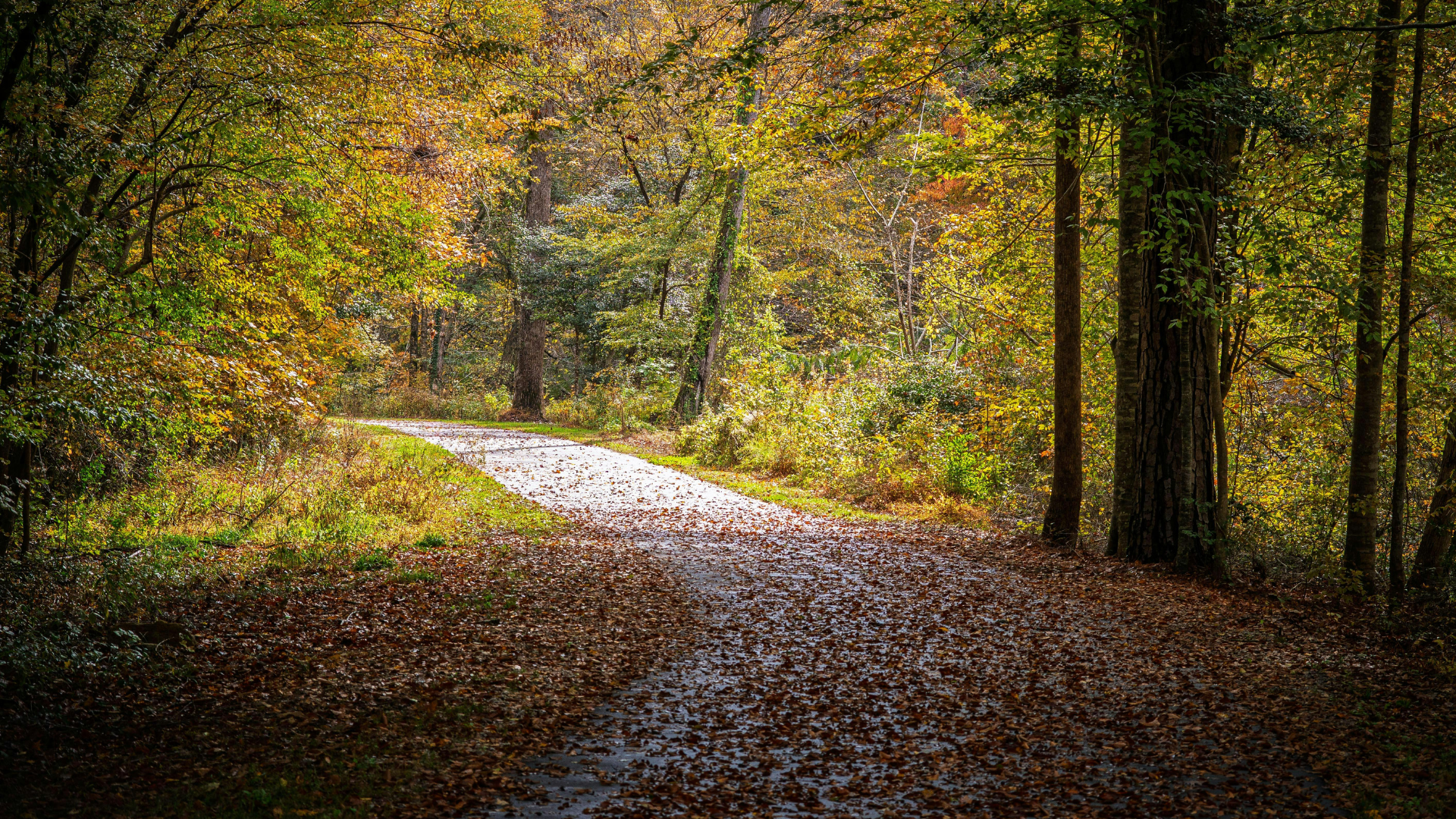 Soutenir avant que l’épuisement ne s’installe  